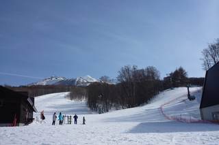 Aomori Spring