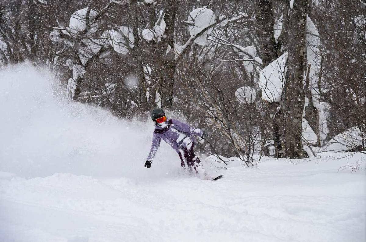 A snowboarder riding fresh powder through Shimokura's trees in falling snow
