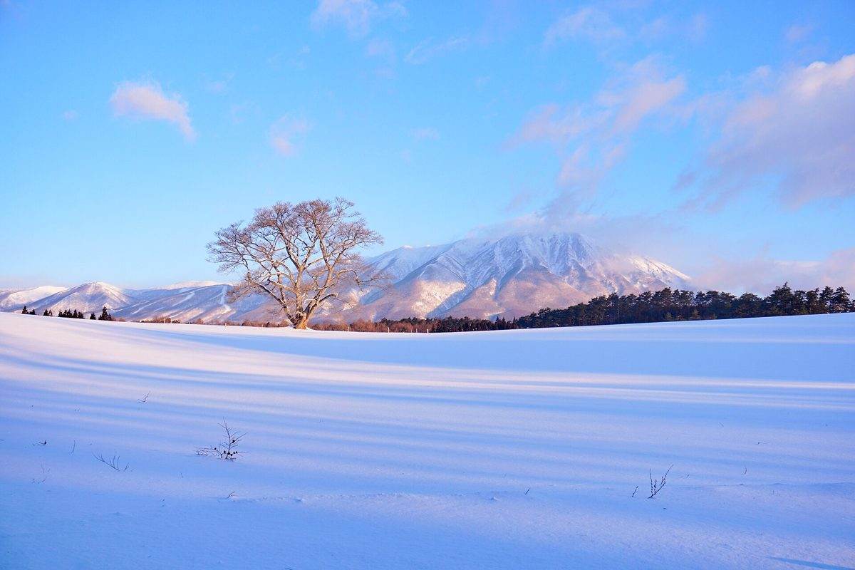 Mount Iwate rising above the countryside near Morioka