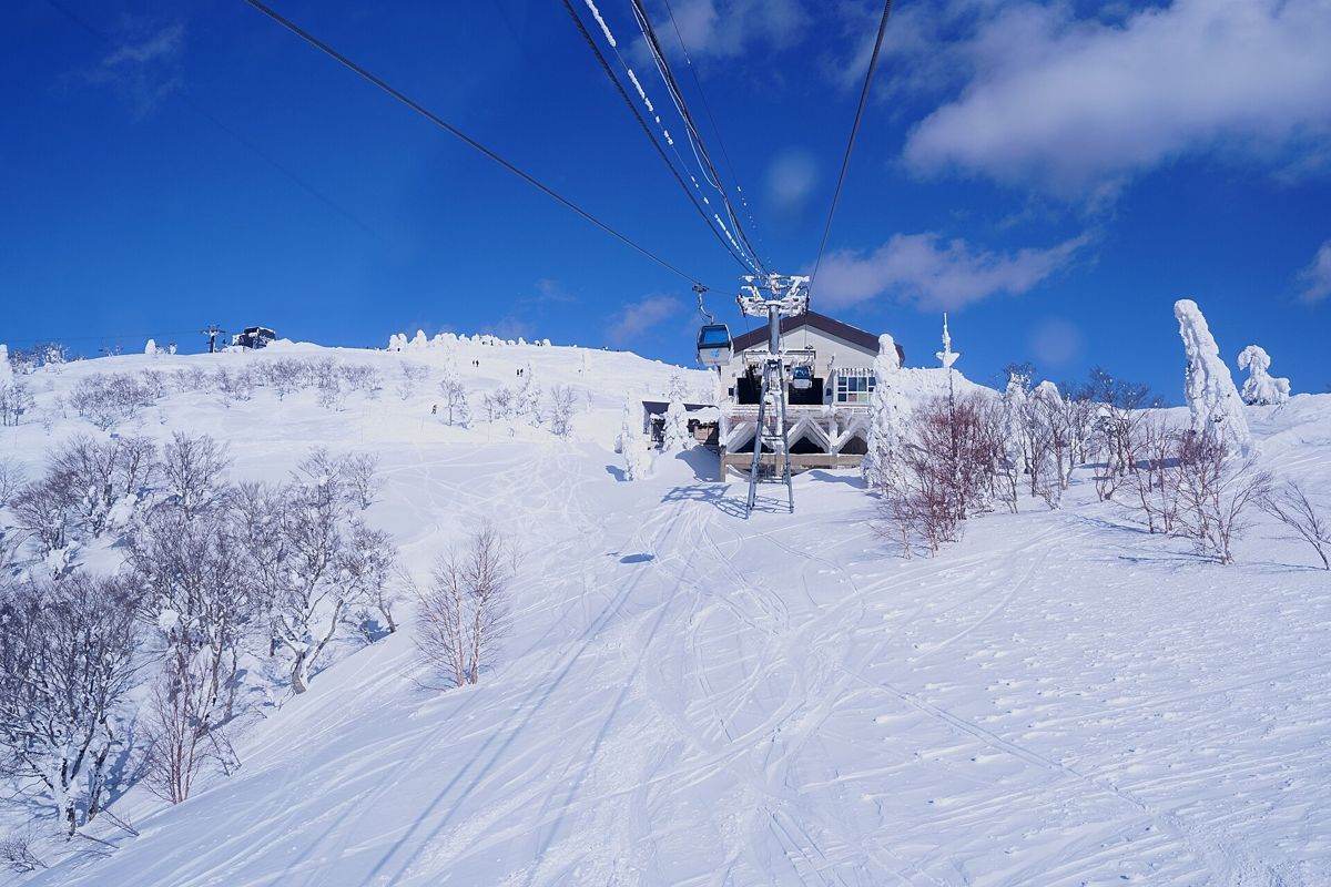 Ani: early-bird season passes and advance day tickets on sale