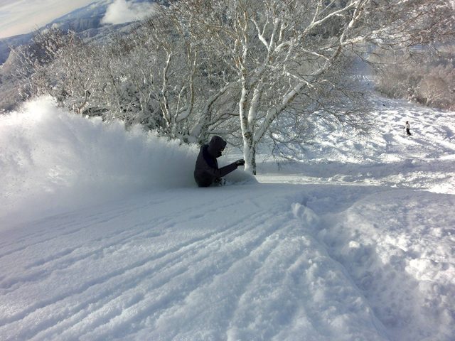 A snowboarder in deep powder beside a snow-covered birch tree at Ryuoo Ski Park, Nagano
