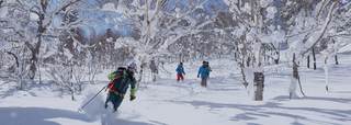 Northern Honshu