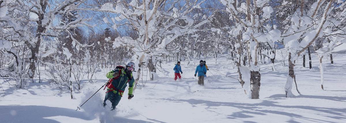 Appi Kogen tree run zone